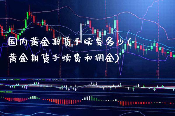 国内黄金期货手续费多少(黄金期货手续费和佣金) (https://www.njaxzs.com/) 期货投资 第1张