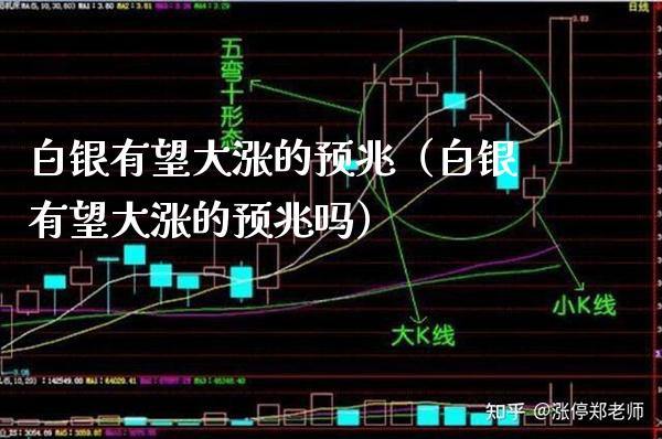 白银有望大涨的预兆（白银有望大涨的预兆吗） (https://www.njaxzs.com/) 期货直播间 第1张