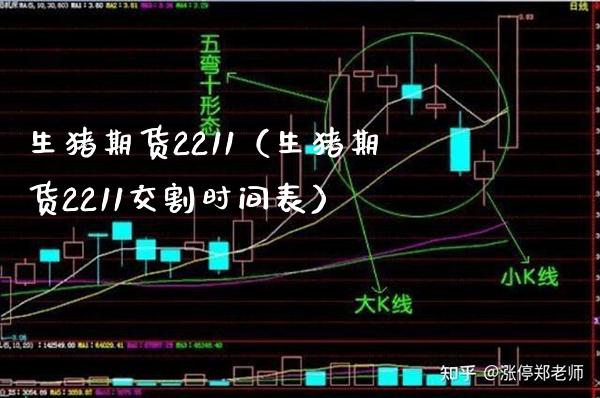 生猪期货2211（生猪期货2211交割时间表） (https://www.njaxzs.com/) 内盘期货 第1张
