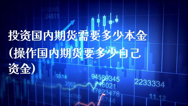 投资国内期货需要多少本金(操作国内期货要多少自己资金) (https://www.njaxzs.com/) 期货投资 第1张
