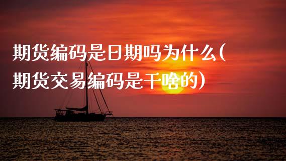 期货编码是日期吗为什么(期货交易编码是干啥的) (https://www.njaxzs.com/) 原油期货 第1张