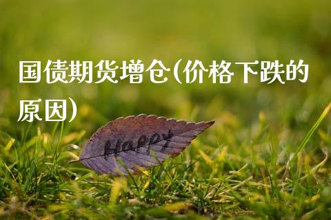 国债期货增仓(价格下跌的原因) (https://www.njaxzs.com/) 期货直播间 第1张