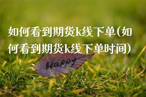 如何看到期货k线下单(如何看到期货k线下单时间) (https://www.njaxzs.com/) 期货直播间 第1张