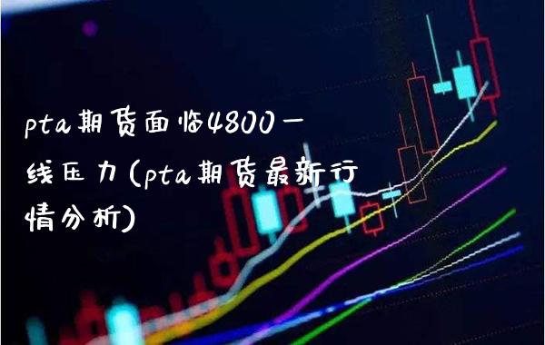 pta期货面临4800一线压力(pta期货最新行情分析) (https://www.njaxzs.com/) 原油期货 第1张