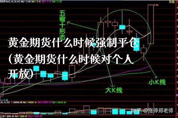 黄金期货什么时候强制平仓(黄金期货什么时候对个人开放) (https://www.njaxzs.com/) 内盘期货 第1张