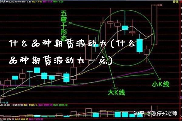 什么品种期货波动大(什么品种期货波动大一点) (https://www.njaxzs.com/) 期货直播间 第1张