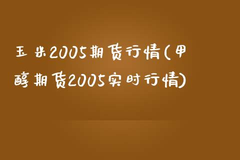 玉米2005期货行情(甲醇期货2005实时行情) (https://www.njaxzs.com/) 期货投资 第1张