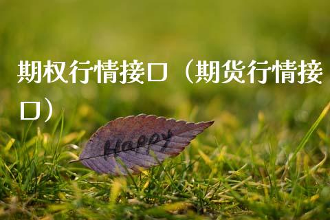 期权行情接口（期货行情接口） (https://www.njaxzs.com/) 内盘期货 第1张