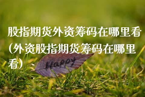 股指期货外资筹码在哪里看(外资股指期货筹码在哪里看) (https://www.njaxzs.com/) 期货开户 第1张