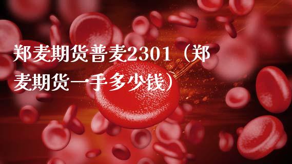 郑麦期货普麦2301（郑麦期货一手多少钱） (https://www.njaxzs.com/) 原油期货 第1张