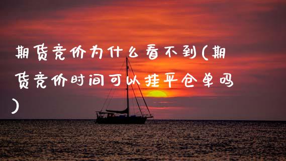 期货竞价为什么看不到(期货竞价时间可以挂平仓单吗) (https://www.njaxzs.com/) 黄金期货 第1张