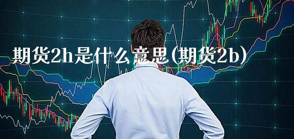 期货2h是什么意思(期货2b) (https://www.njaxzs.com/) 期货行情 第1张