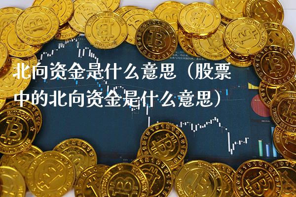 北向资金是什么意思（股票中的北向资金是什么意思） (https://www.njaxzs.com/) 期货行情 第1张