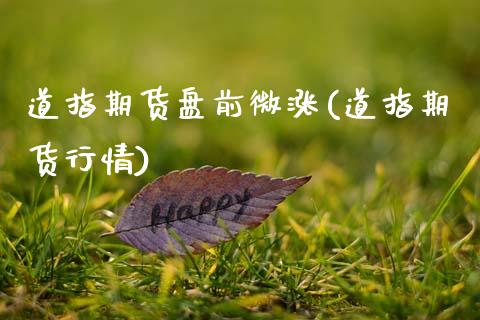 道指期货盘前微涨(道指期货行情) (https://www.njaxzs.com/) 期货行情 第1张