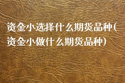 资金小选择什么期货品种(资金小做什么期货品种) (https://www.njaxzs.com/) 期货开户 第1张