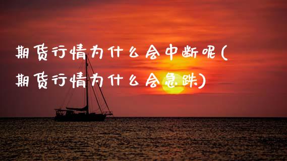 期货行情为什么会中断呢(期货行情为什么会急跌) (https://www.njaxzs.com/) 期货开户 第1张