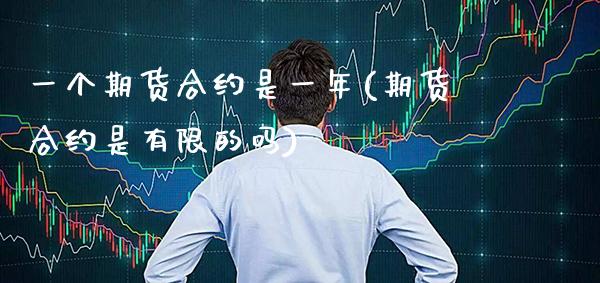 一个期货合约是一年(期货合约是有限的吗) (https://www.njaxzs.com/) 内盘期货 第1张