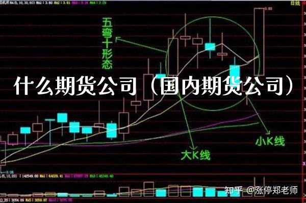 什么期货公司（国内期货公司） (https://www.njaxzs.com/) 期货行情 第1张