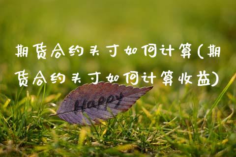 期货合约头寸如何计算(期货合约头寸如何计算收益) (https://www.njaxzs.com/) 期货开户 第1张