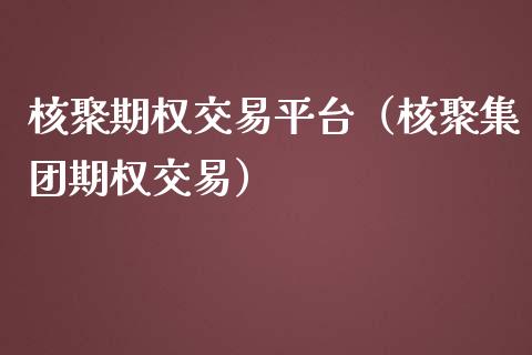 核聚期权交易平台（核团期权交易） (https://www.njaxzs.com/) 期货直播间 第1张