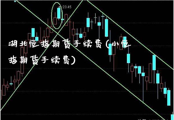 湖北恒指期货手续费(小恒指期货手续费) (https://www.njaxzs.com/) 期货行情 第1张