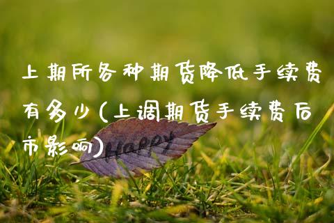 上期所各种期货降低手续费有多少(上调期货手续费后市影响) (https://www.njaxzs.com/) 原油期货 第1张