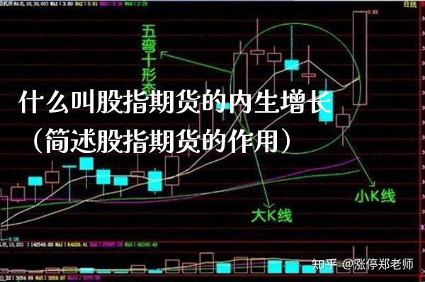 什么叫股指期货的内生增长（简述股指期货的作用） (https://www.njaxzs.com/) 期货行情 第1张