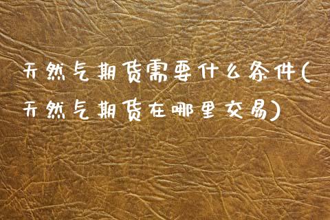 天然气期货需要什么条件(天然气期货在哪里交易) (https://www.njaxzs.com/) 期货直播间 第1张