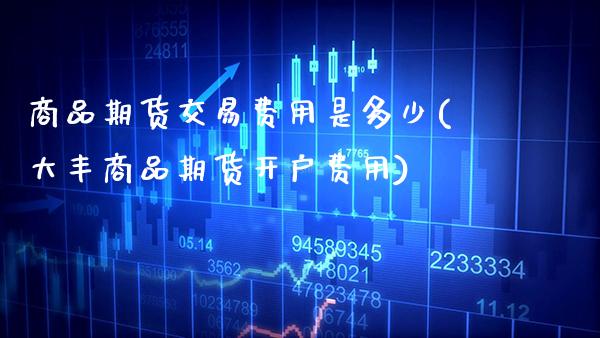 商品期货交易费用是多少(大丰商品期货开户费用) (https://www.njaxzs.com/) 期货行情 第1张