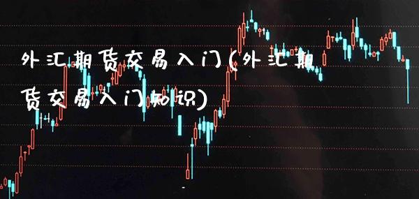 外汇期货交易入门(外汇期货交易入门知识) (https://www.njaxzs.com/) 黄金期货 第1张