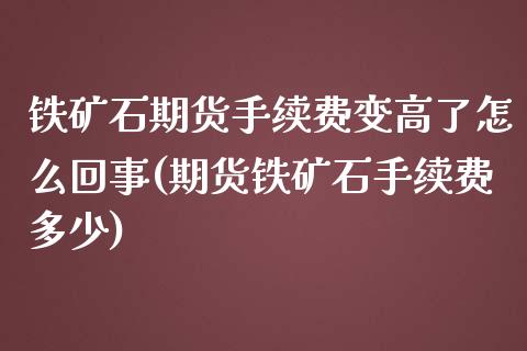 铁矿石期货手续费变高了怎么回事(期货铁矿石手续费多少) (https://www.njaxzs.com/) 期货行情 第1张