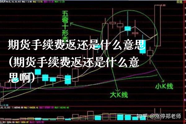 期货手续费返还是什么意思(期货手续费返还是什么意思啊) (https://www.njaxzs.com/) 黄金期货 第1张