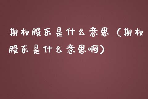 期权股东是什么意思（期权股东是什么意思啊） (https://www.njaxzs.com/) 期货直播间 第1张