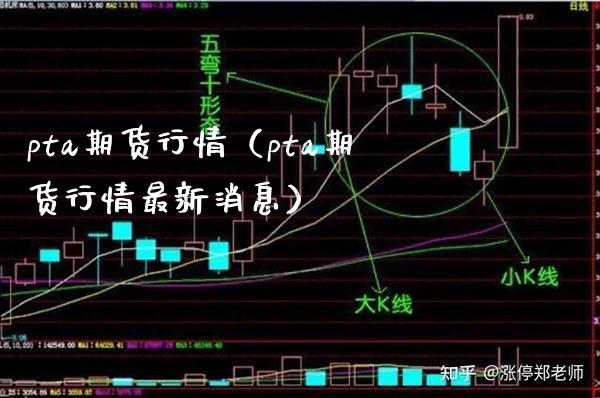 pta期货行情（pta期货行情最新消息） (https://www.njaxzs.com/) 期货行情 第1张