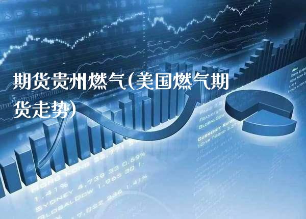 期货贵州燃气(美国燃气期货走势) (https://www.njaxzs.com/) 原油期货 第1张