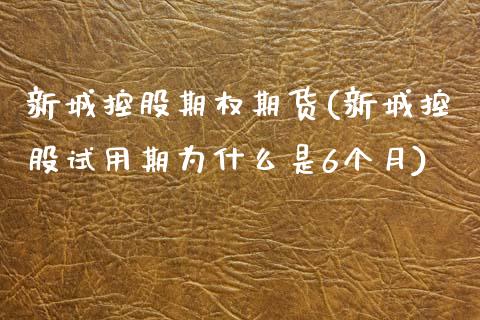 新城控股期权期货(新城控股试用期为什么是6个月) (https://www.njaxzs.com/) 期货投资 第1张