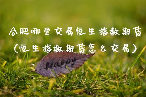 合肥哪里交易恒生指数期货（恒生指数期货怎么交易） (https://www.njaxzs.com/) 期货直播间 第1张