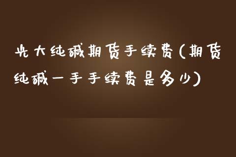 光大纯碱期货手续费(期货纯碱一手手续费是多少) (https://www.njaxzs.com/) 期货开户 第1张