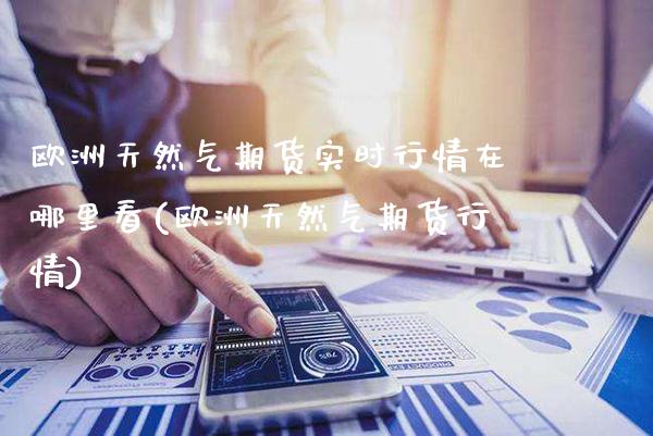 欧洲天然气期货实时行情在哪里看(欧洲天然气期货行情) (https://www.njaxzs.com/) 期货行情 第1张