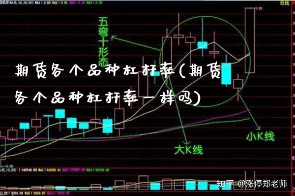 期货各个品种杠杆率(期货各个品种杠杆率一样吗) (https://www.njaxzs.com/) 期货行情 第1张
