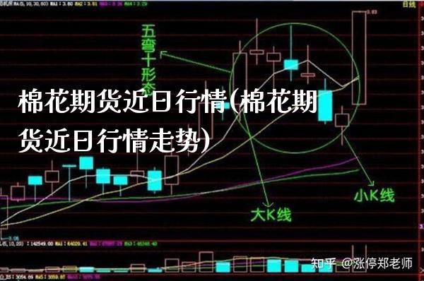 棉花期货近日行情(棉花期货近日行情走势) (https://www.njaxzs.com/) 期货直播间 第1张
