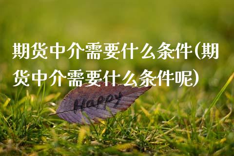 期货中介需要什么条件(期货中介需要什么条件呢) (https://www.njaxzs.com/) 内盘期货 第1张