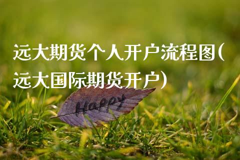 远大期货个人开户流程图(远大国际期货开户) (https://www.njaxzs.com/) 期货行情 第1张