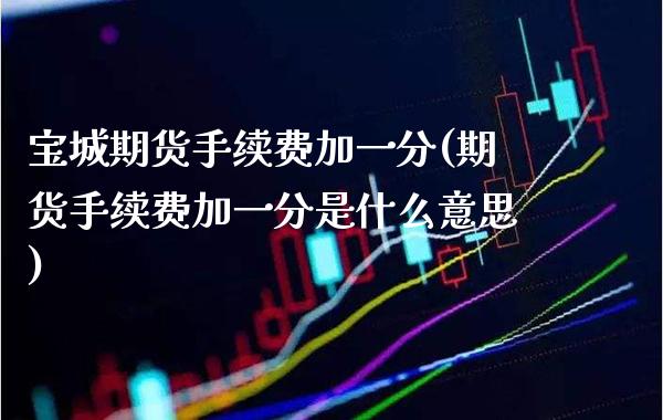 宝城期货手续费加一分(期货手续费加一分是什么意思) (https://www.njaxzs.com/) 期货开户 第1张