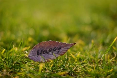 玉米期货周期（玉米期货行情） (https://www.njaxzs.com/) 原油期货 第1张