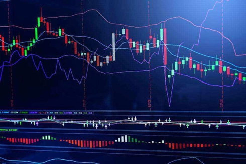 白糖期货仓单成本(白糖期货限仓规定) 期货直播间 第1张-爱新财经 白糖期货仓单成本(白糖期货限仓规定) (https://www.njaxzs.com/) 期货直播间 第1张